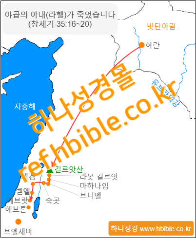 /media/shop/product/watermark/2023/12/02/mzRxw/gen_35_18_watermark.png